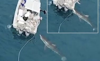 Peshkaqeni afro pesë metra tërheq zvarrë anijen e peshkatarëve, burrat brenda saj tmerrohen nga frika (Video)