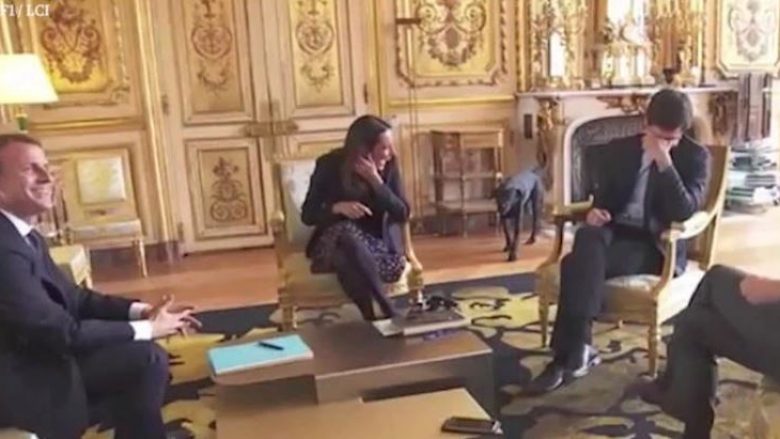 Skenë e pakëndshme gjatë takimit zyrtar të presidentit francez, qeni urinon pranë kaminit (Video)