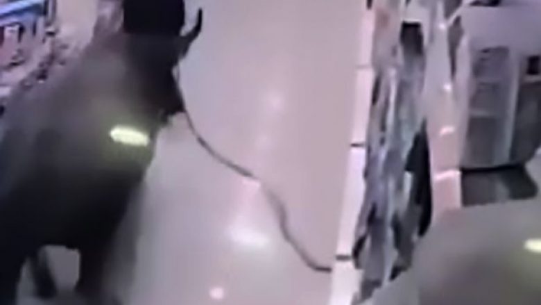 Ndodh edhe kjo: Shtatzëna goditet brutalisht nga demi brenda një marketi, kamerat e sigurisë filmojnë momentin rrëqethës (Video, +18)