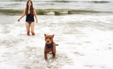Kishte nxjerrë qenin për shëtitje në plazh kur ai nuhati diçka të pazakontë, pasi u afrua pronarja e tij e kuptoi se po luante me organet gjenitale të njeriut