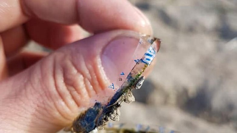 Kapi peshkun me një shenjë të pazakontë në trup, e kuptoi se unaza e plastikës së bidonëve të ujit i është ngulur në mish (Foto)