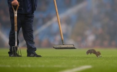 Ketri që i bëri të gjithë të qeshin në fushën e Manchester Cityt, minuta të tëra ndjekje në Ethihad Stadium (Foto)