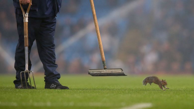 Ketri që i bëri të gjithë të qeshin në fushën e Manchester Cityt, minuta të tëra ndjekje në Ethihad Stadium (Foto)