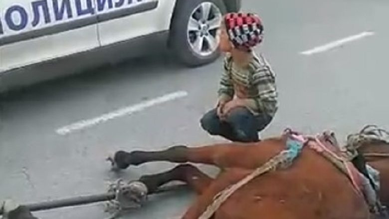 Kali i sëmurë në mes të rrugës, askush nuk ju ndihmon të miturve që t’a shpëtojnë atë (Video)