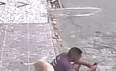 Ngatërron njeriun me hidrantin e ujit, qeni i urinon në shpinë (Video)
