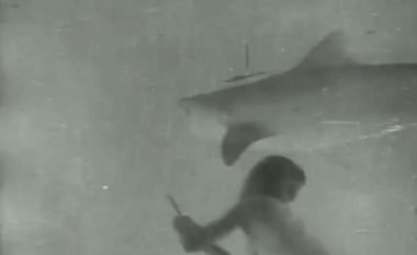 Zhytësi mbyt peshkaqenin, si pjesë e filmimit të parë që është realizuar nën ujë (Video)