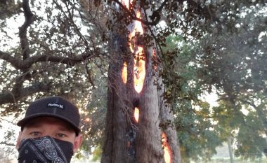 Pamje spektakolare: Trungu i pemës digjet nga brenda, e tymi del si nga një oxhak (Video)