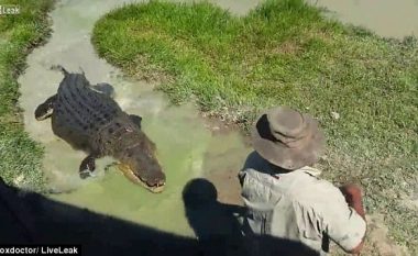 Pamje të frikshme: Krokodili shfaqet nga aty ku askush nuk do ta priste (Video)