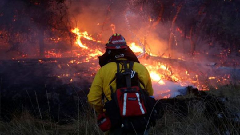 Në Kaliforni, 40 viktima nga zjarret