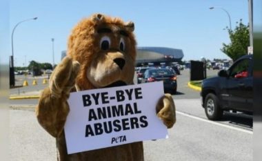 Irlanda ndalon përdorimin e kafshëve të egra në shfaqjet e cirkut