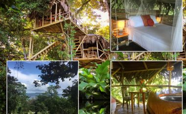 Shtëpia e ndërtuar në dru në zemër të xhunglës me pamje nga deti, në të cilën të gjithë dëshirojnë të kalojnë vikendin (Foto)