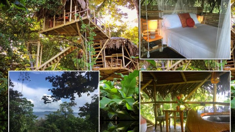 Shtëpia e ndërtuar në dru në zemër të xhunglës me pamje nga deti, në të cilën të gjithë dëshirojnë të kalojnë vikendin (Foto)