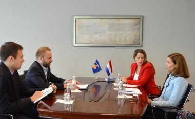 Tahiri takoi Ambasadoren e Mbretërisë së Holandës, Williems