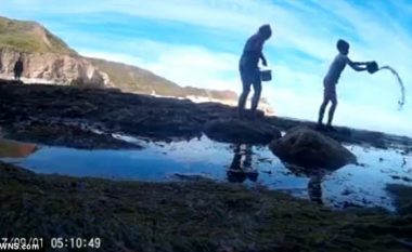 Kamerën që ra në ujë, valët e dërguan 360 kilometra larg (Video)