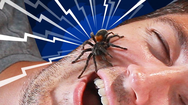 Lajmi i rrejshëm dhe e vërteta rreth ngrënies së pavetëdijshme të merimangave gjatë gjumit (Foto)