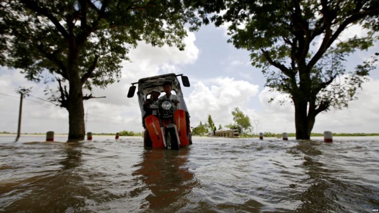 Indi: 12 të vdekur nga shirat monsun