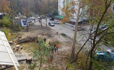 “Parqe dhe Gjelbërim” i presin drunjtë në një park në Çair, Shilegov nuk di gjë për këtë