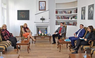 Ministri Kujtim Gashi priti në takim ambasadoren kroate në Kosovë, Maria Kapitanovic