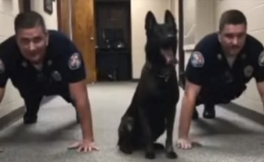 Qeni që stërvitet bashkë me policët – veprimet e tij janë vërtet unike (Video)