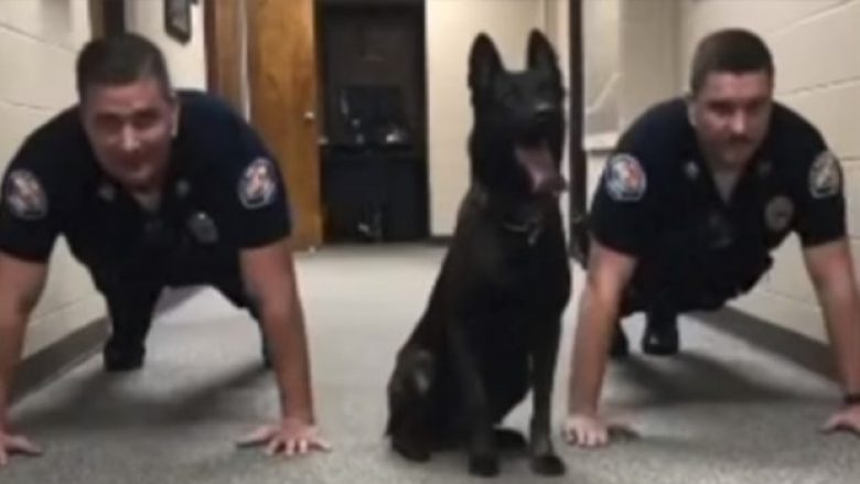 Qeni që stërvitet bashkë me policët – veprimet e tij janë vërtet unike (Video)