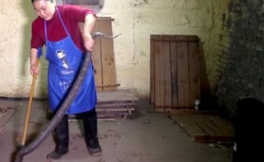 Mbretëresha e kobrave: Ajo kujdeset për njëmijë gjarpërinj, ua pastron dhomën – dhe prej tyre bën verë që e pinë i gjithë fshati (Video)