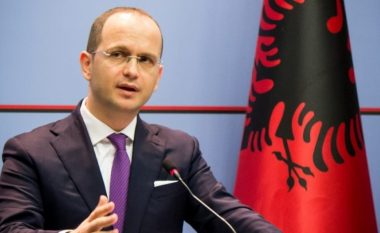 Bushati: Vota e Shqipërisë në OKB jo kundër SHBA por pro paqes