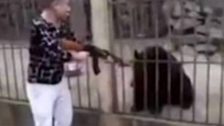Vizitori qëlloi me armë ariun e kafazit, e bëri nga kurreshtja (Video)