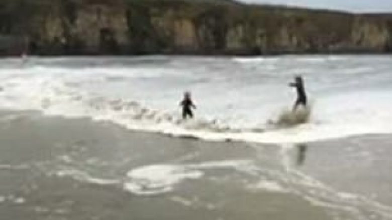 Vogëlushja luante në bregdet, rrëmbehet papritmas nga batica (Video)