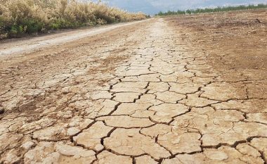 Izraeli në thatësirë të tejzgjatur, shteti bën thirrje për lutje masive ndaj Zotit