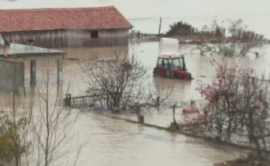 Situata në Shqipëri: Rreziku i madh nga Vjosa, uji në banesa deri në lartësinë 2 metër (Video)