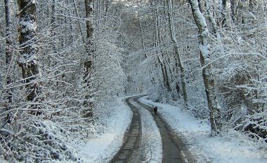 Reshje të borës në Kodrën e Diellit, Gostivar, Mavrovë dhe shumë vende të Maqedonisë