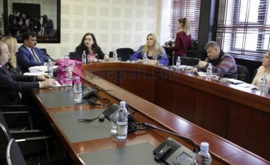 Demarkacioni me Malin e Zi në Komisionin për punë të jashtme