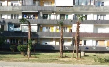 Prokuroria Themelore Publike fillon hetimin për rastin e palmave në Shkup