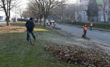 Në Shkup vazhdon pastrimi i rrugëve dhe sipërfaqeve të gjelbërta si pjesë e masave kundër ndotjes së ajrit