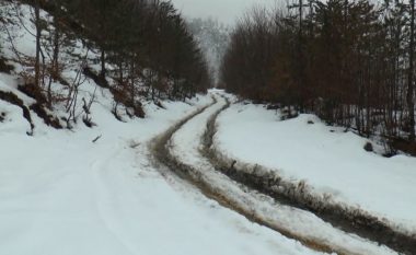 90 centimetra borë në fshatrat e malësisë së Tetovës, banorët kërkojnë zhbllokimin e rrugëve (Video)