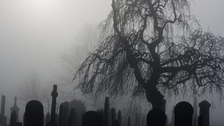 E varrosin gabimisht për së gjalli, familjarët vonohen në hapjen e arkivolit me kohë – e gjejnë të vdekur (Video)