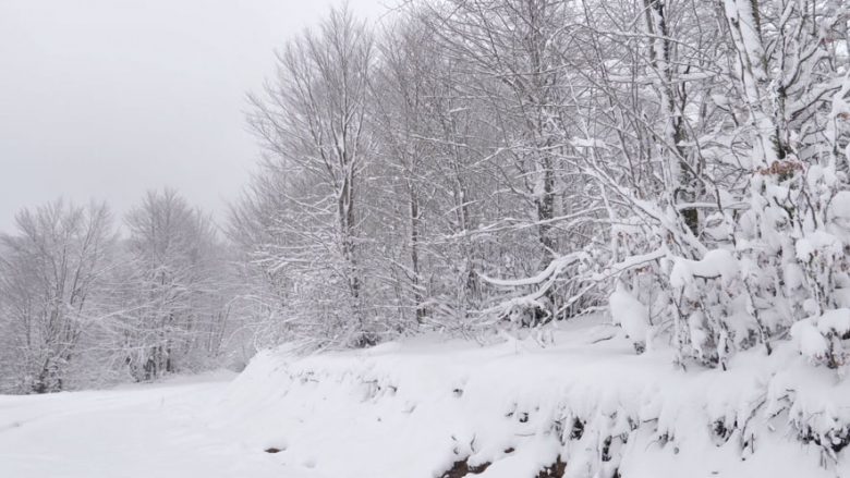 Dibër, 55 cm dëborë, bllokohen rrugët malore