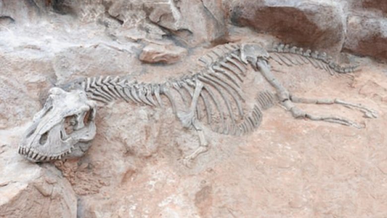 Dinozaurët u “vetëvranë”, studimi: Zhdukja e tyre nisi para rënies së asteroidit