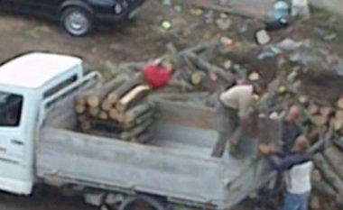 Ndalohet serbi që po transportonte dru ilegalisht