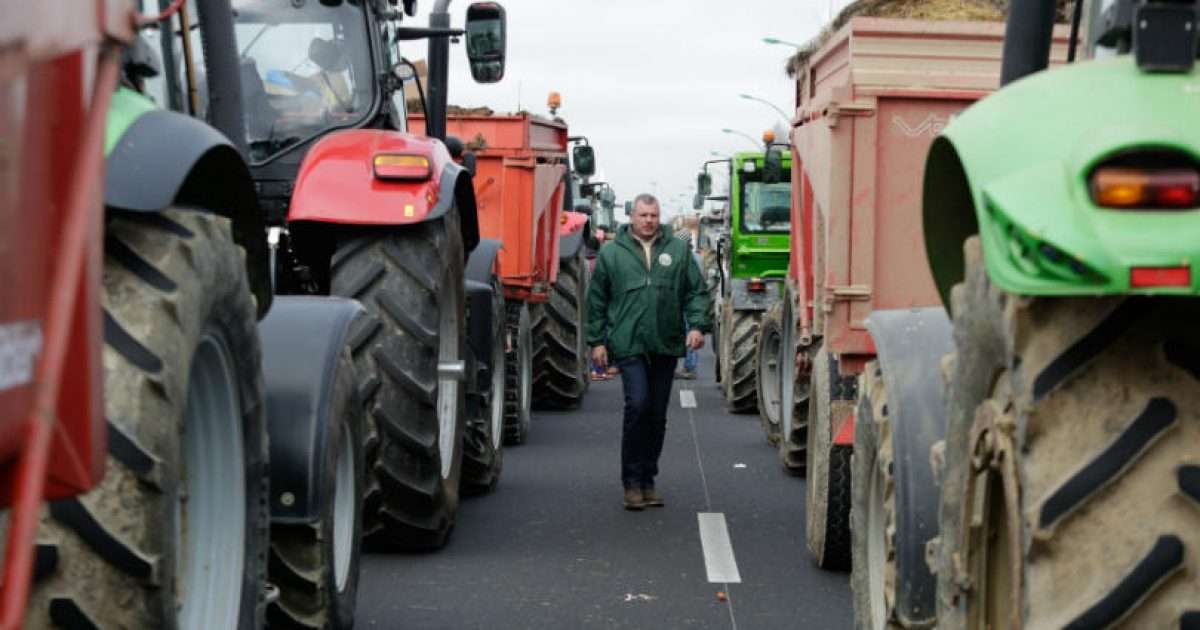 France farmers. Агрофирма Племзавод победа Каневская. ООО Агрофирма победа Карагайский район Пермский край. Агрофирма победа Нердва. Колхоз Племзавод Кубань Ставропольский край.