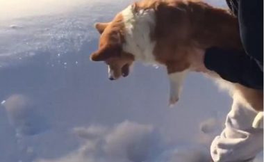 Gjuajtja e qenit prej ‘aeroplanit’ u bë virale, shkaku i një mashtrimi optik (Video)