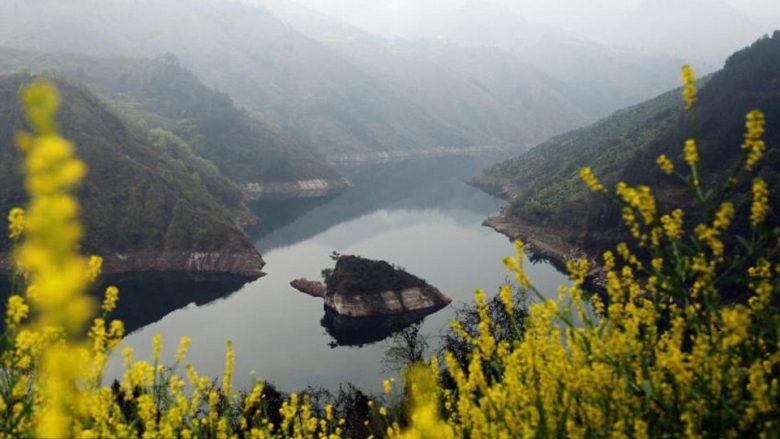 “Ishulli fatsjellës në formë breshke”: Pamjet e mahnitshme të masivit, që shfaqet një herë në vit (Foto)