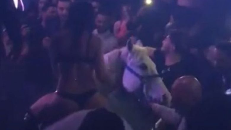 Kali i detyruar të hynte në klubin e natës, tërbohet dhe reagon i shqetësuar (Video)