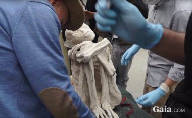 Skeleti misterioz me nga tre gishta, besohet të jetë jashtëtokësor dhe jo është njeri (Foto)
