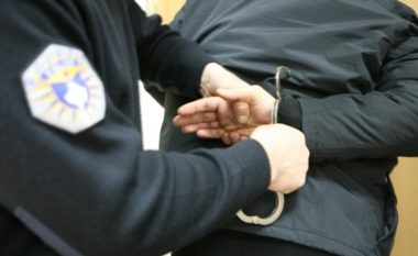 Në Vushtrri arrestohen dy persona të dyshuar për vjedhje