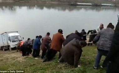 Kamioni rrezikonte të binte në lumë, momenti kur rreth 100 burra e tërhoqën me litarë (Video)