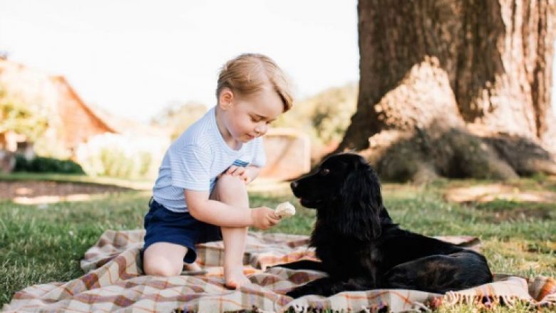 Është vetëm katër vjeç, por princi George nuk ka një “ëndërr mbretërore”, ai dëshiron të bëhet polic