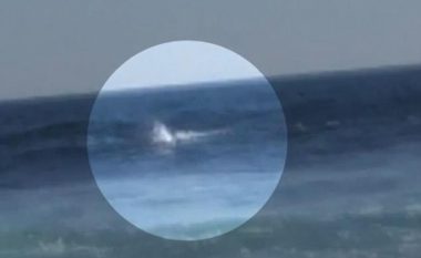 Edhe pse e kafshoi peshkaqeni katër metra, “surfisti” arriti t’i shpëtoj më të keqes – dëshmitarët filmuan gjithçka (Video)
