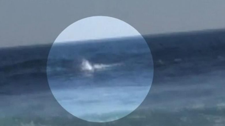 Edhe pse e kafshoi peshkaqeni katër metra, “surfisti” arriti t’i shpëtoj më të keqes – dëshmitarët filmuan gjithçka (Video)