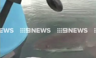 Babai me fëmijë u frikësuan nga peshkaqeni që bënte xhiro rreth tyre, para se t’ju “kafshonte” barkën (Video)